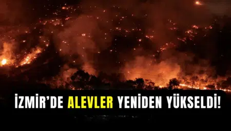 İzmir Orman Yangını Sonrası Güvenli Gelecek: Yangına Meydan Okuyan 7 Tasarım Prensibi