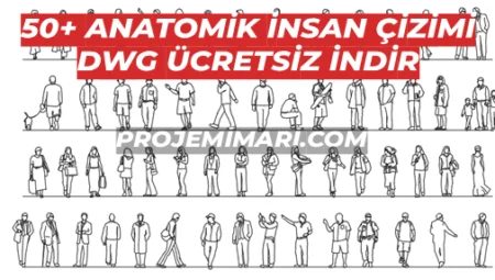 50+ Anatomik İnsan Çizim Arşivi DWG İndir